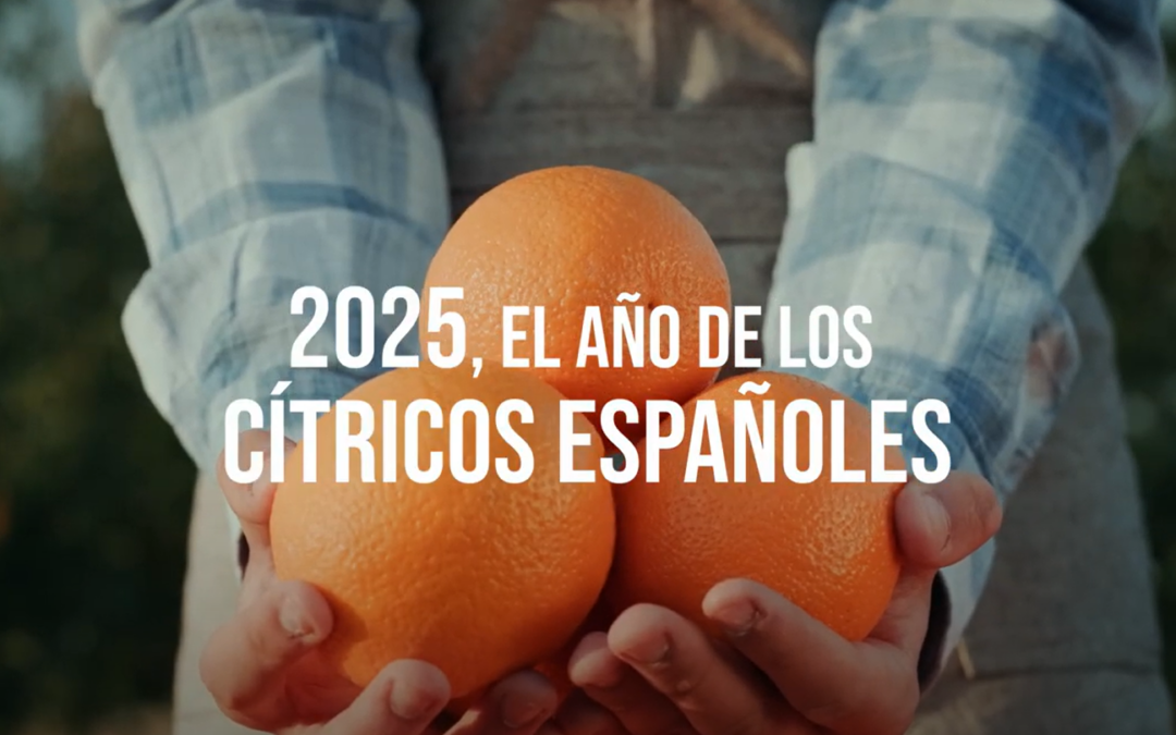 2025, el año de los cítricos españoles