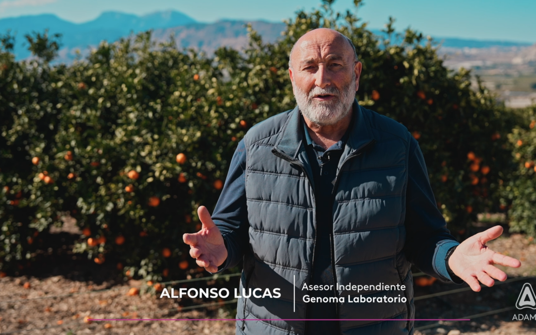 Consejos de Alfonso Lucas: Experto en el Manejo del Trips en Cítricos