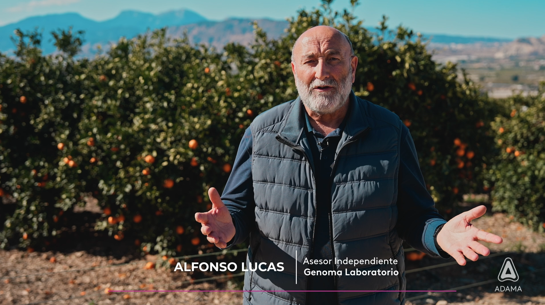 Alfonso Lucas - Experto Trips en Cítricos