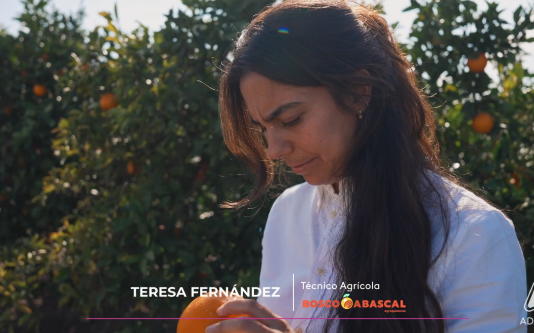 Detección y control del trips en cítricos. Teresa Fernández (Técnico Agrícola en BOSCO ABASCAL)