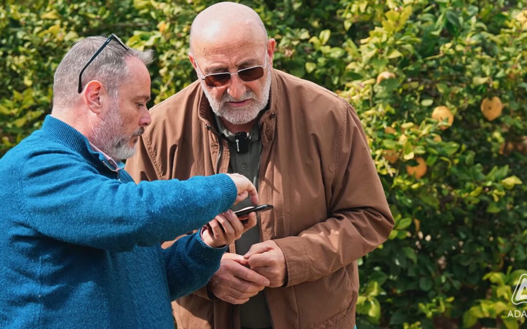 Trips en cítricos: lo que el campo está diciendo al comienzo de campaña (marzo 2026) y claves para interpretar el momento de intervención.